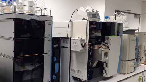 Liggins Insitute Laboratory - Liquid Chromatography Triple Quadrupole Mass Spectrometers (LCMSMS)