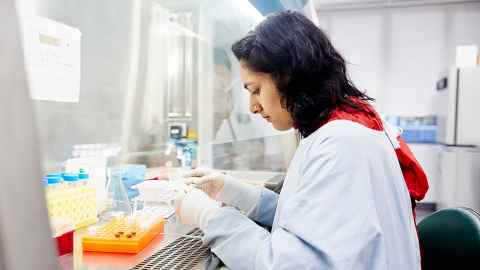 A woman doing laboratory work in the cell tissue culture room